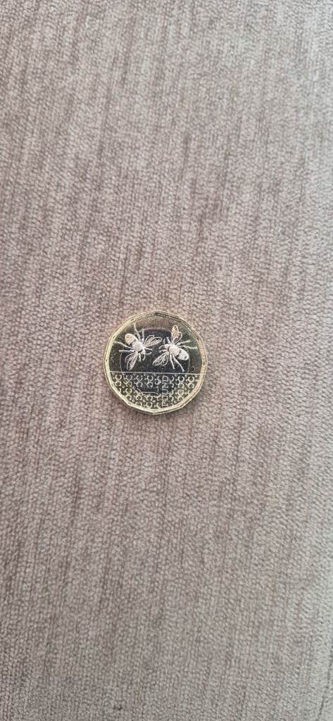 £1 coin
