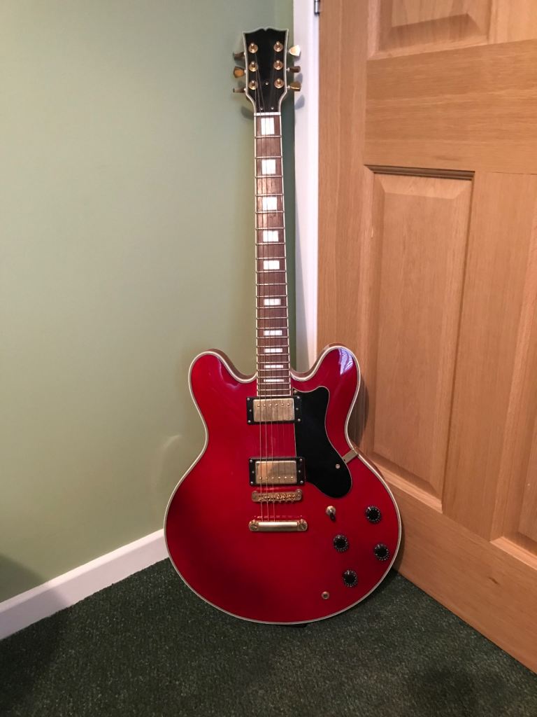 Hollow body Electric Guitar