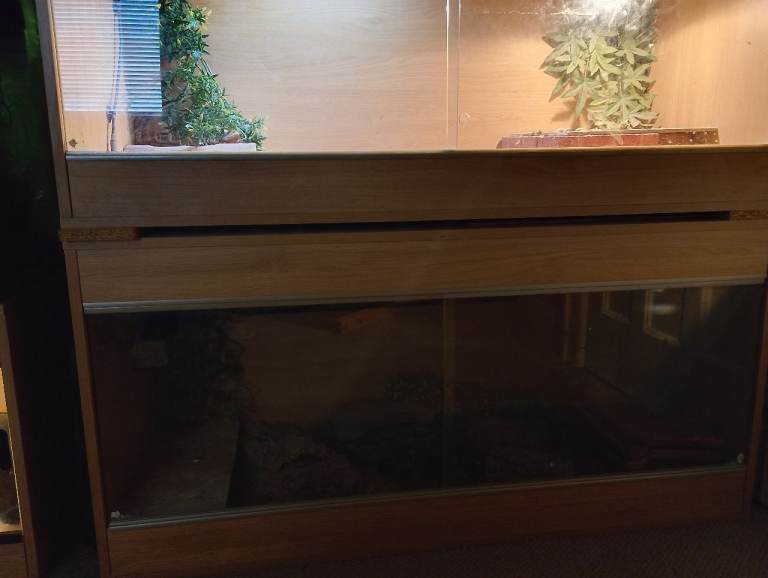46x22x20 vivarium setup