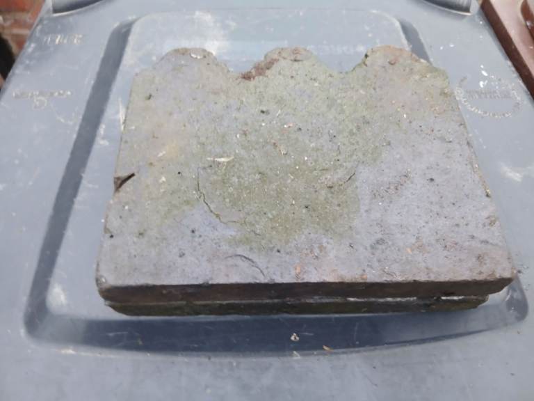 2 staffiahife blue edging stone 