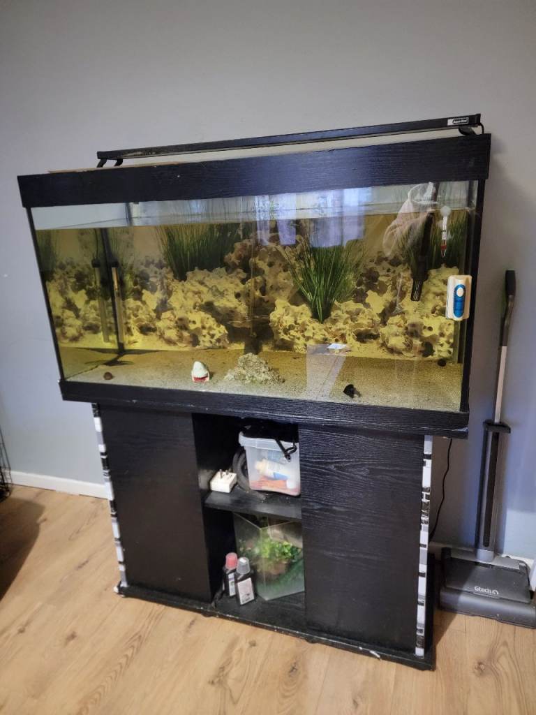 300L fish tank and accessories.
