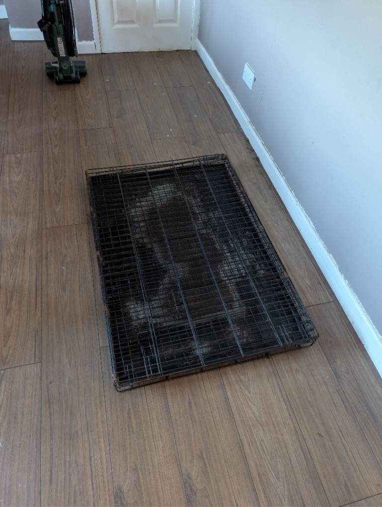 XL dog crate 