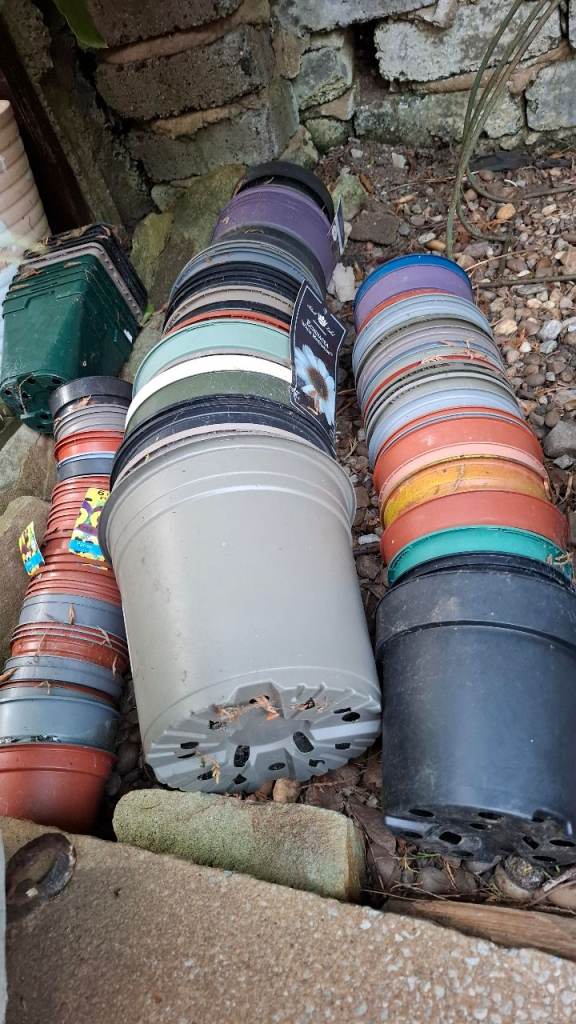 Free Large Selection of Used Plastic Plant Pots