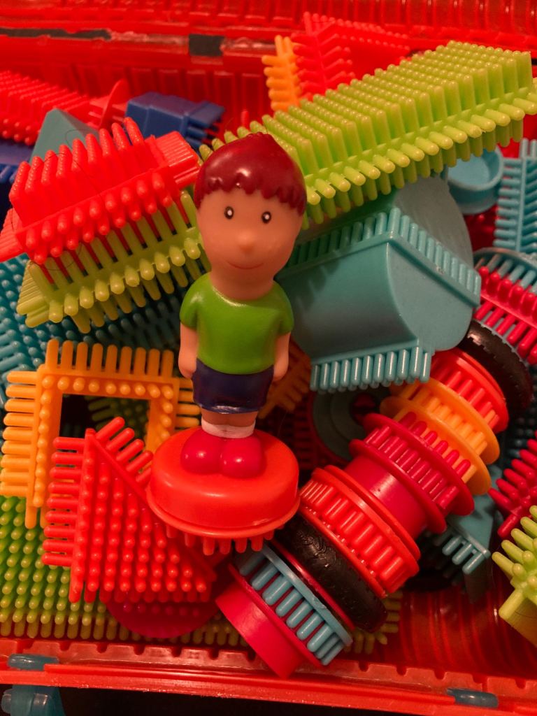 Bristle blocks set in case 