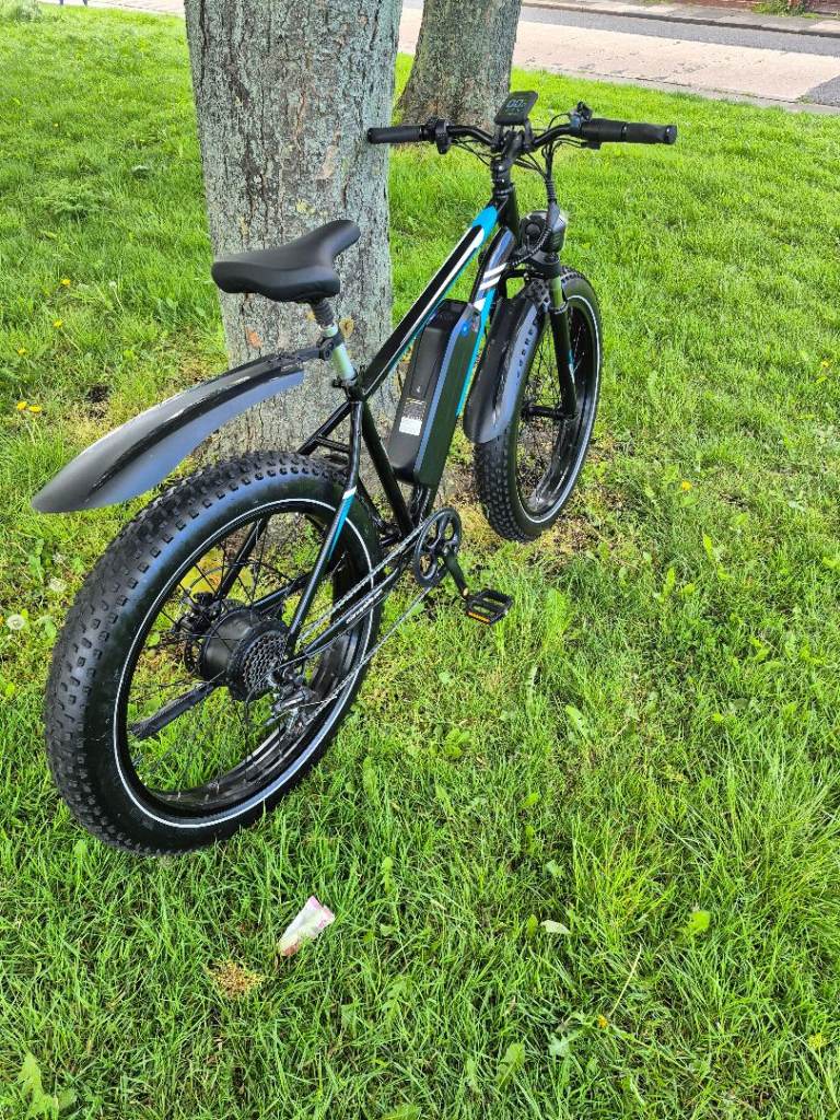 Fat wheel 