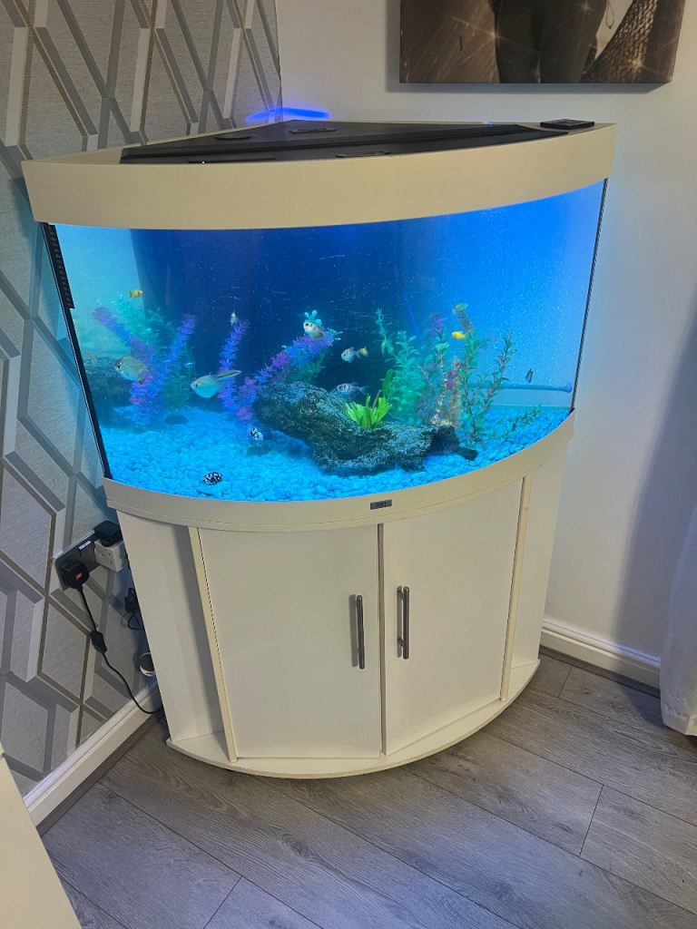 Fish tank 