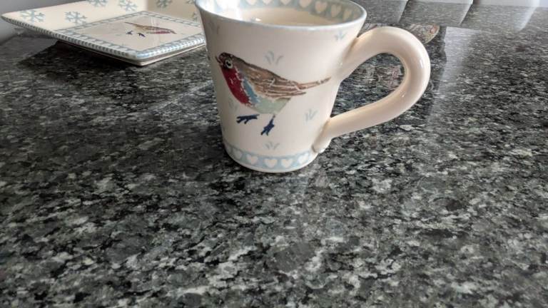 Eden Pottery lovely Ceramic Mug with Robin Design – Never used