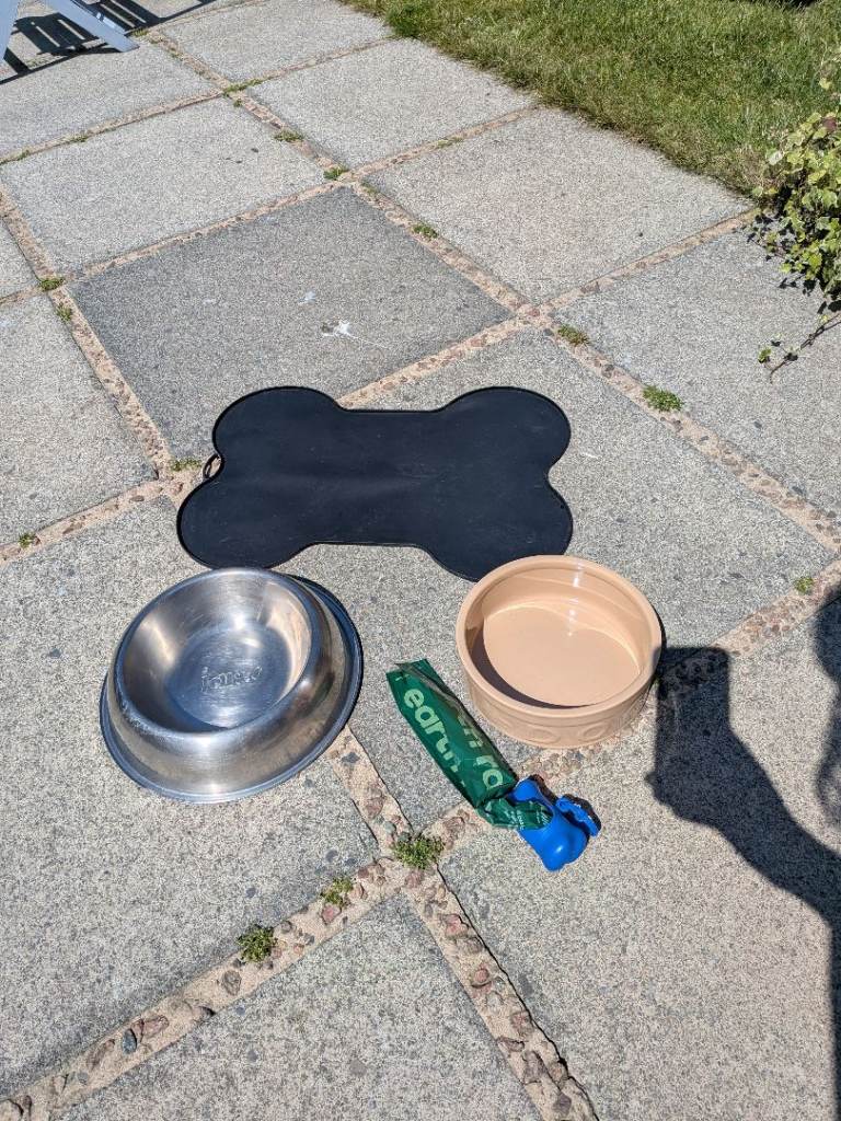 Dog bowls & eating mat