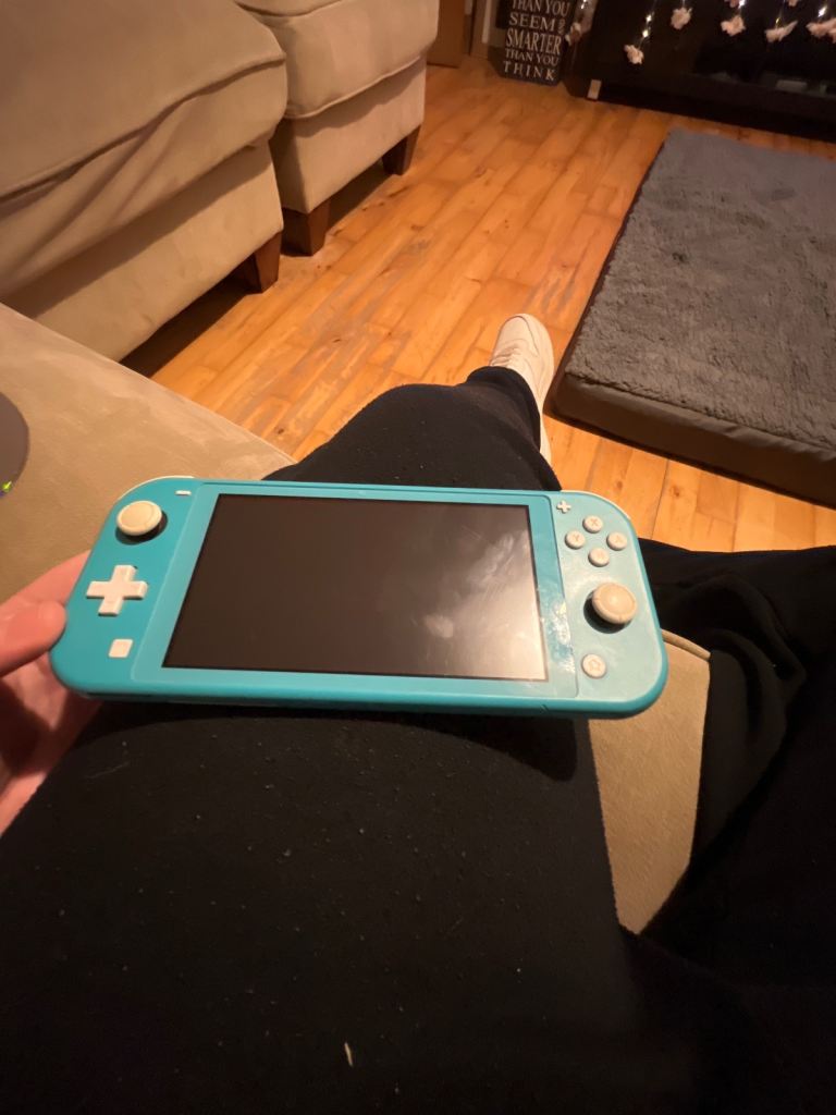 Nintendo switch lite 