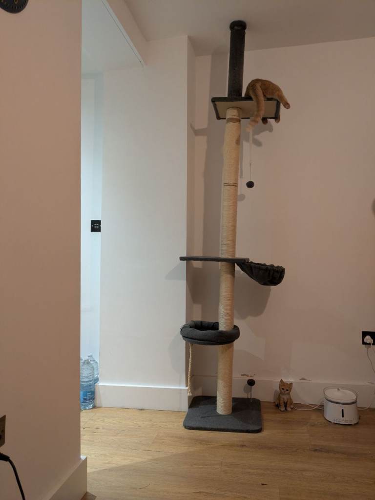 Cat Tree (ceiling height, 270cm)