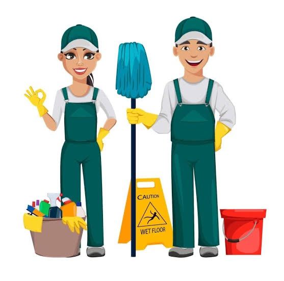 🧽🫧 Shine Wise Professional Cleaning 🫧🧽
