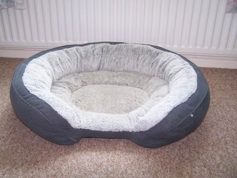 Large Dog Bed