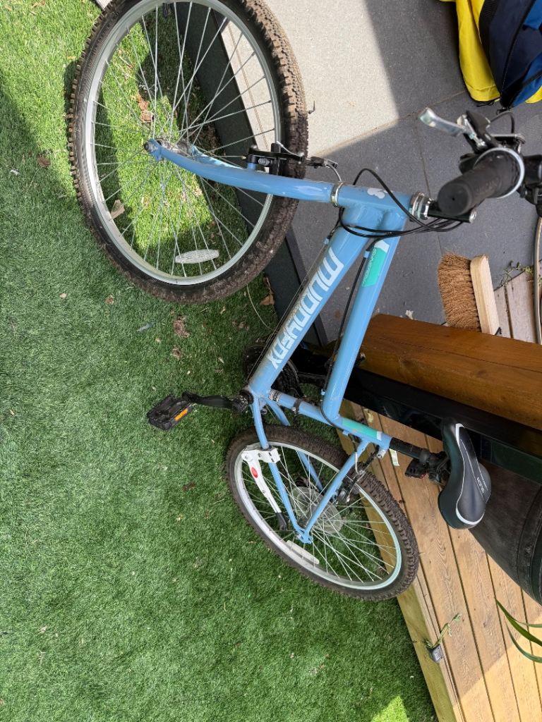 Girls mountain bike