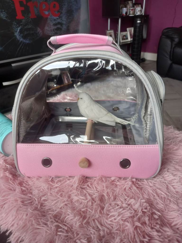 Sturdy foldable bird carrier