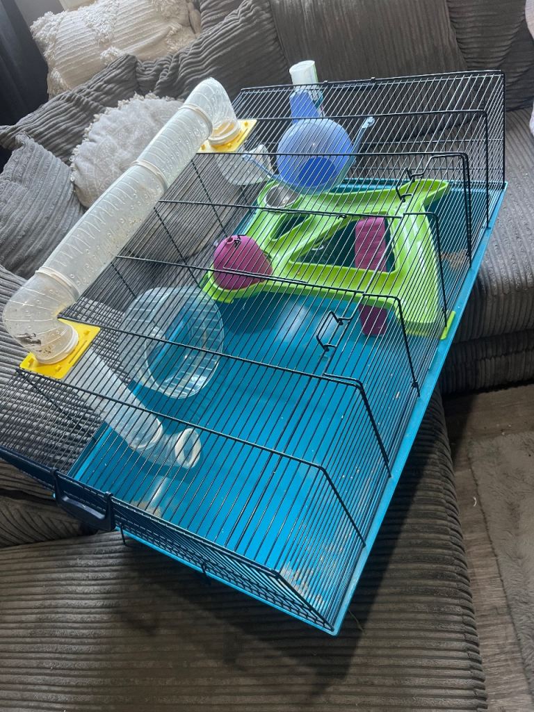 hamster cage 