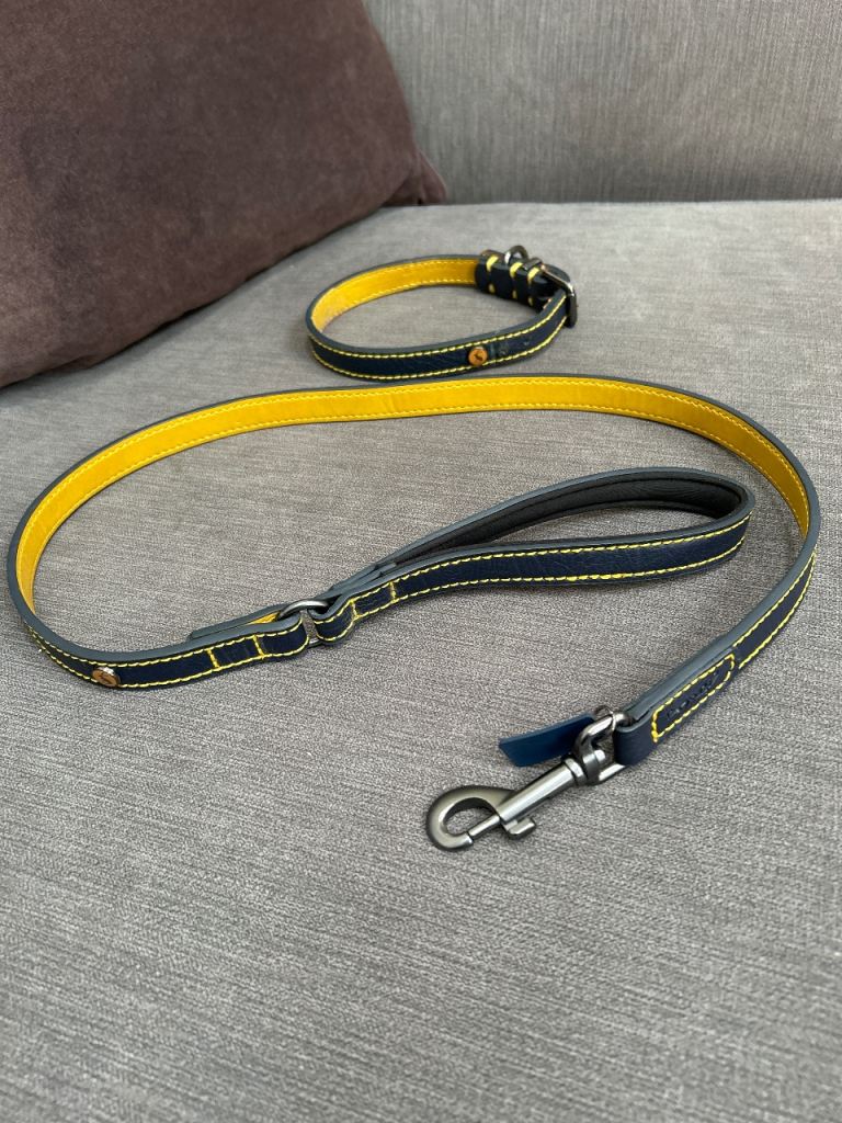 Joules dog lead and matching collar 
