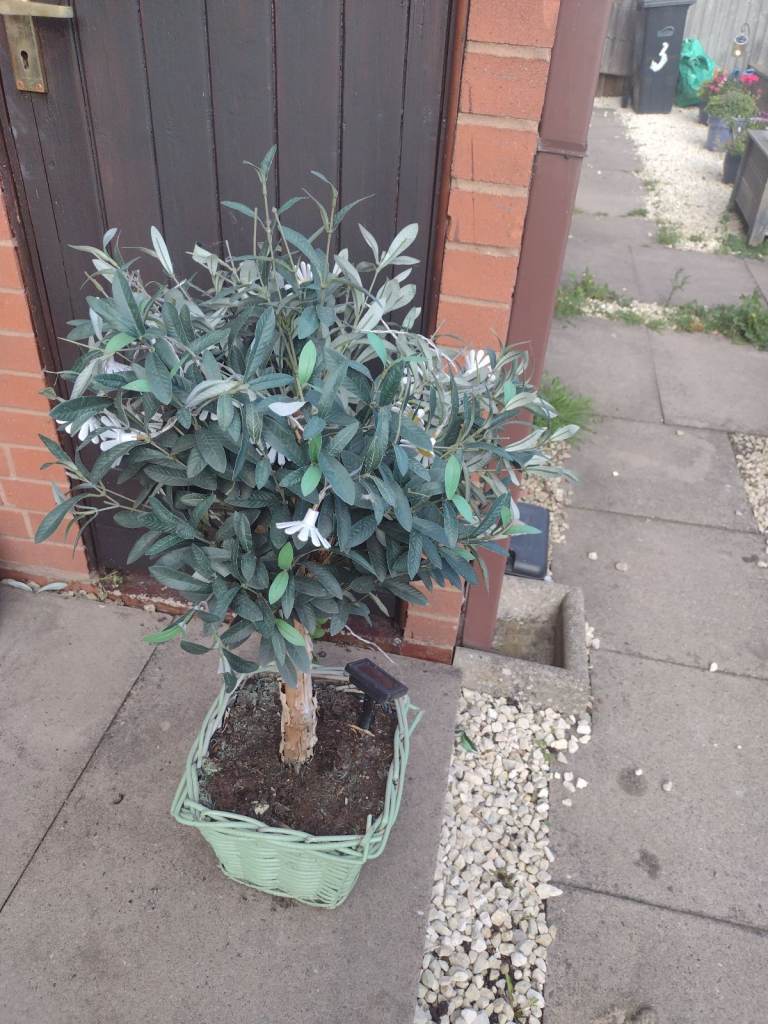 Artificial bay tree from Next