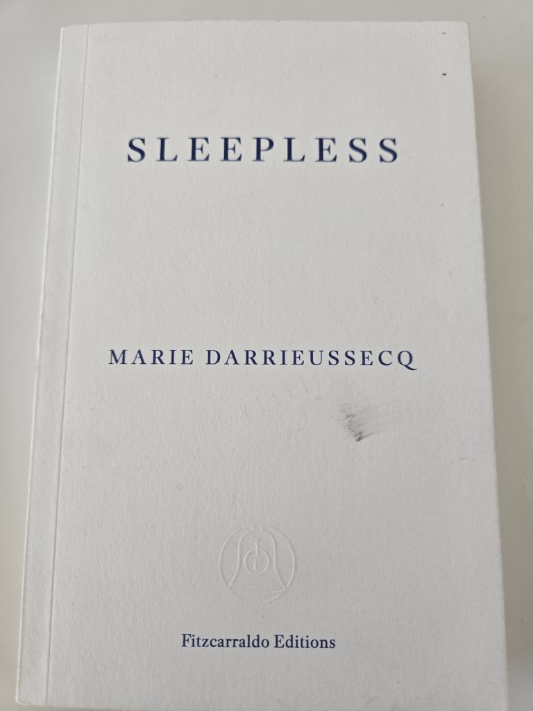 Sleepless Marie Darrieussecq