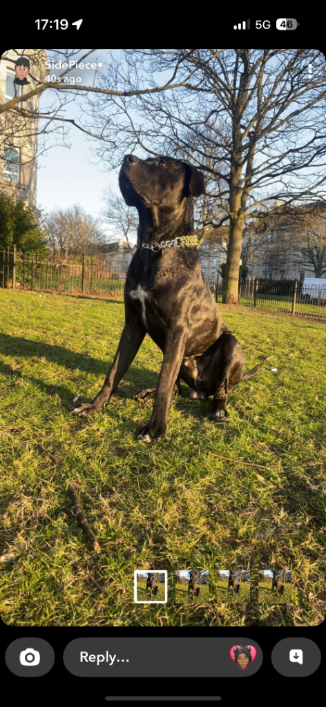 Arlo