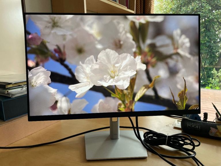 Dell P2422H 24 Inch Full HD (1920x1080) LCD Monitor