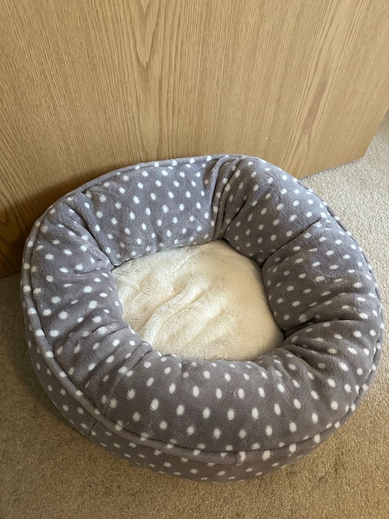 Cat Scratching Post, Bed and Toys