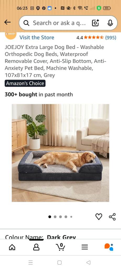 XL dog bed