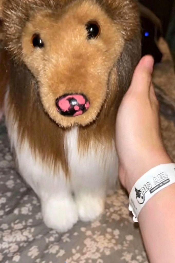 Douglass Essa Dog Plush Toy - Good Condition