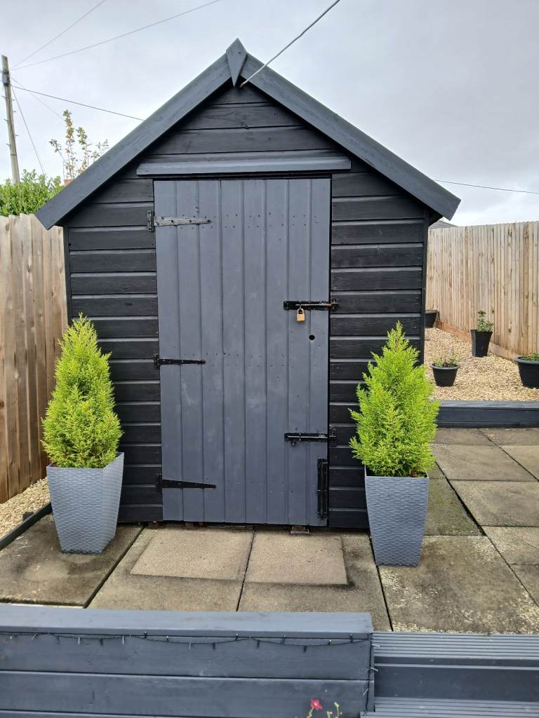 image for Two trees in pots 