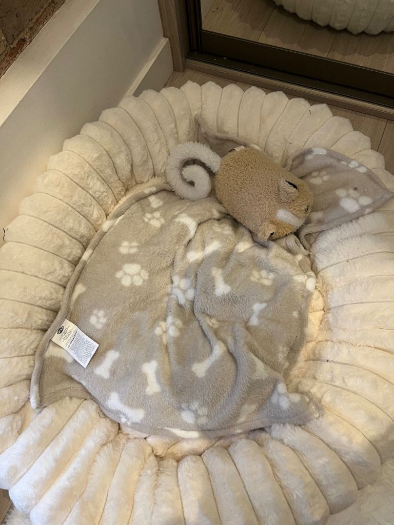 Large Cream Puppy bed with PUPPY included 