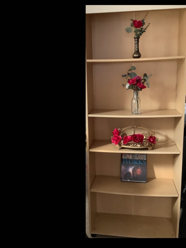 Bookcase –with 5 shelfs
