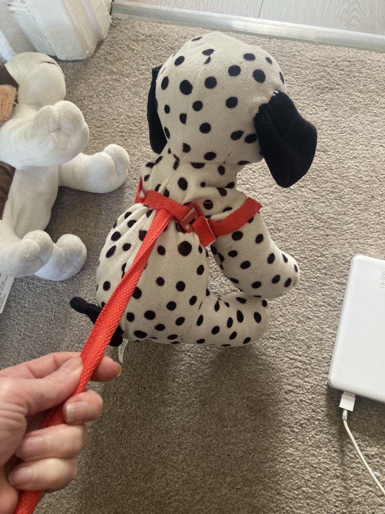 Two dogs on walking sticks 