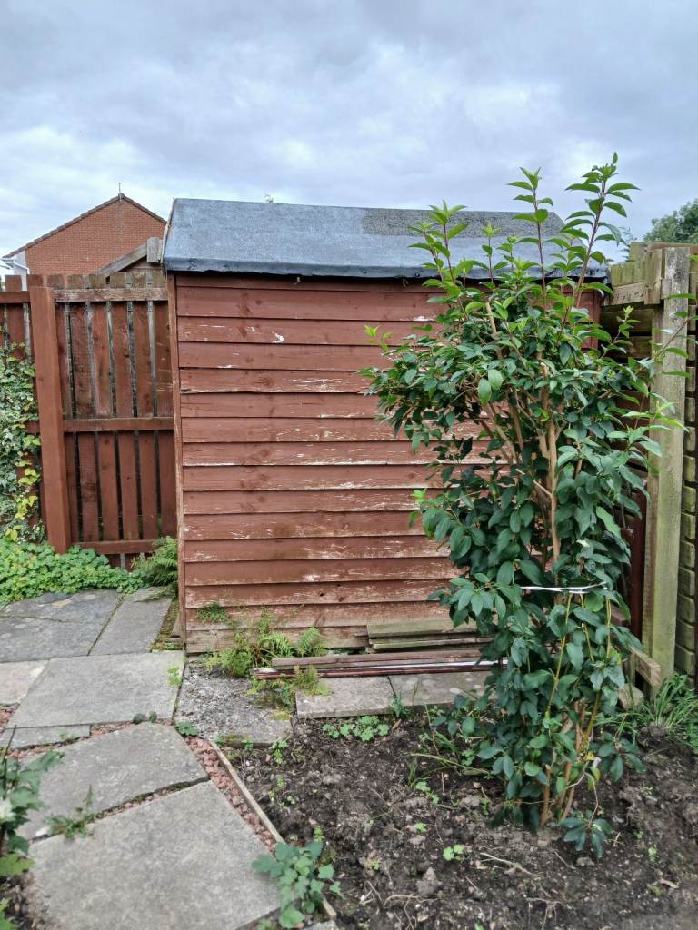 Free garden shed