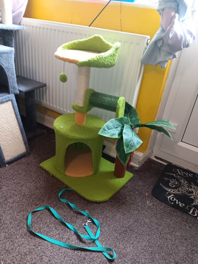 Small cat tree 