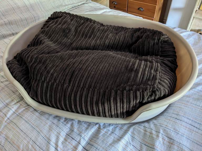 Plastic Dog Bed 🐕🛏️ Solid, Sturdy, LARGE ! 