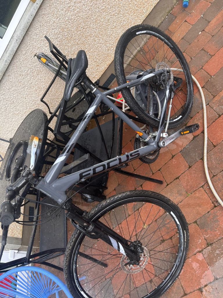 Focus mountain bike great condition 