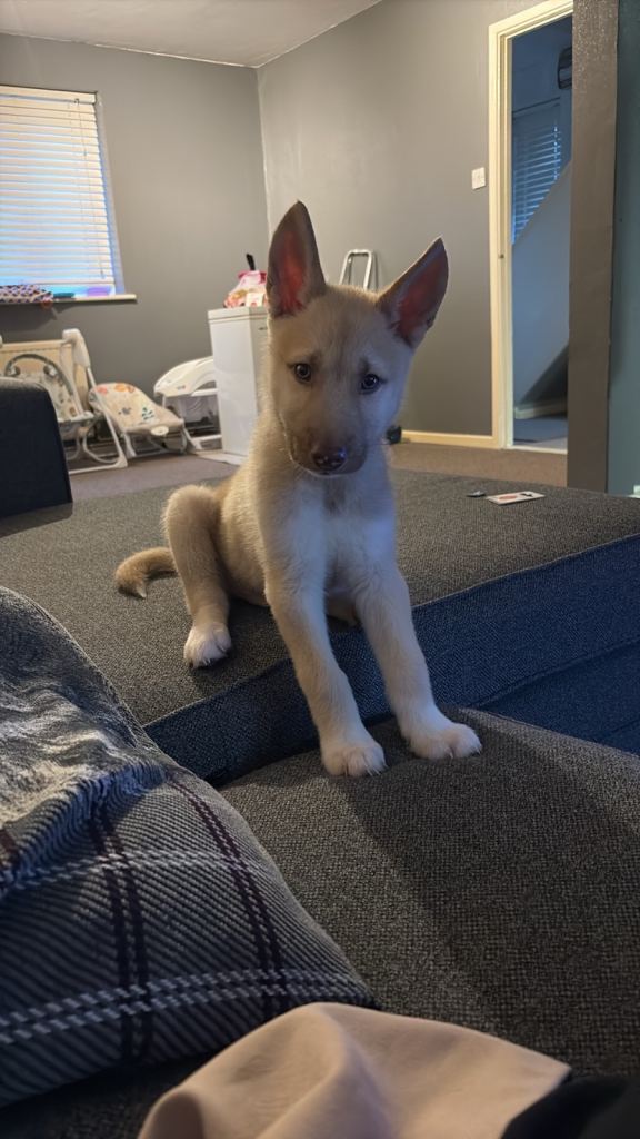 Beautiful boy! Ready to leave now 