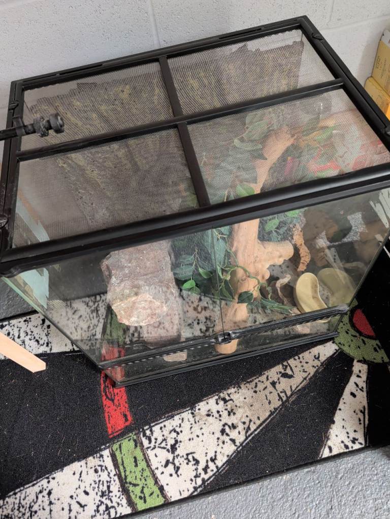 Vivarium set up everything you need 