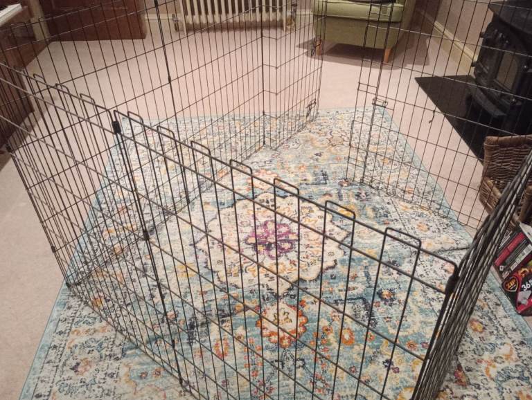 Metal dog cage 