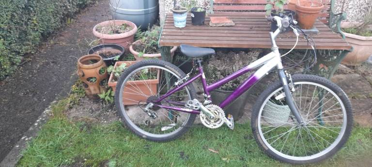 Raleigh girls bike. 20 inch wheels