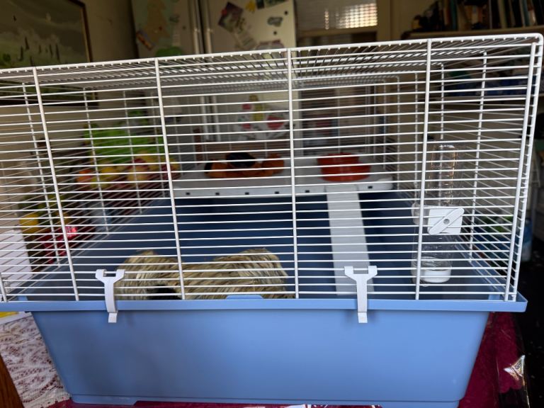 Hamster/ guinea pig cage 