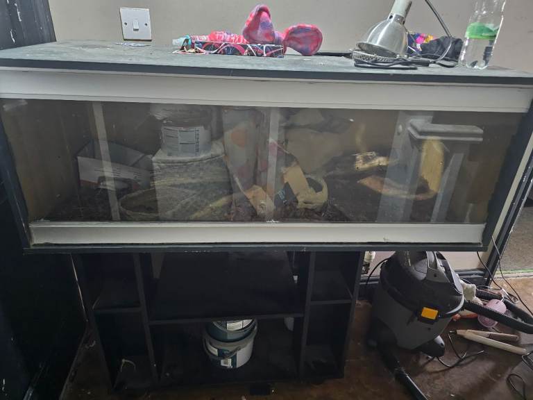 Vivarium set up and stand 