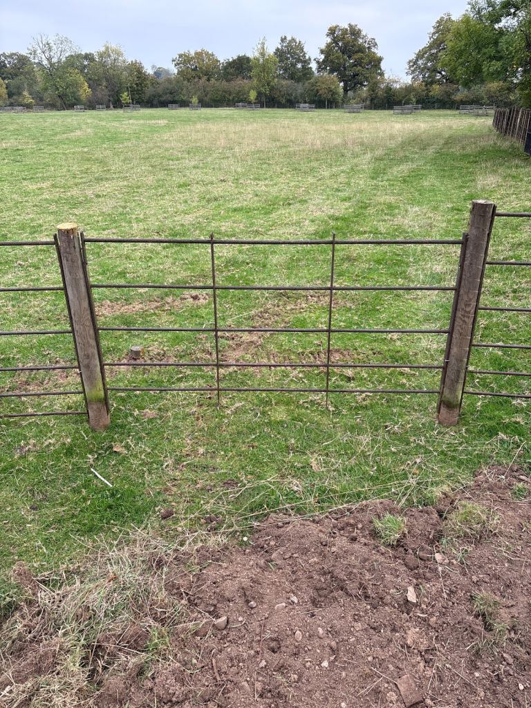 Vintage cast iron fencing hurdles