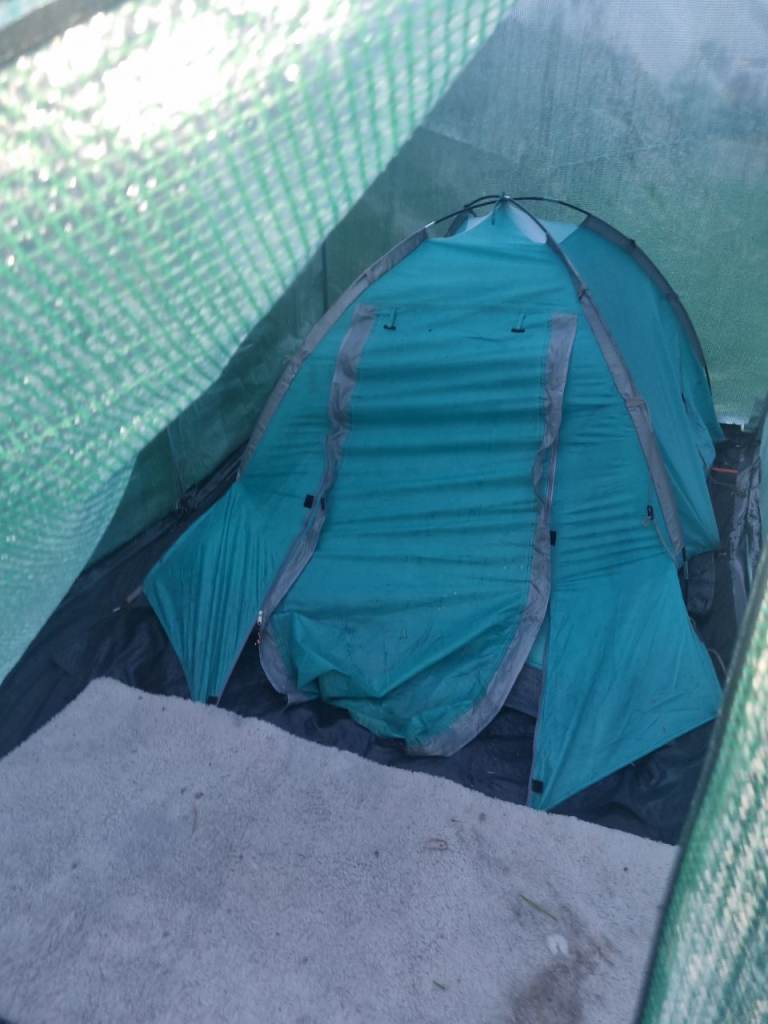 Room wanted urgently