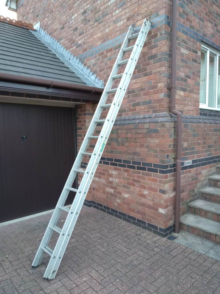 Pair of Extendable Ladders