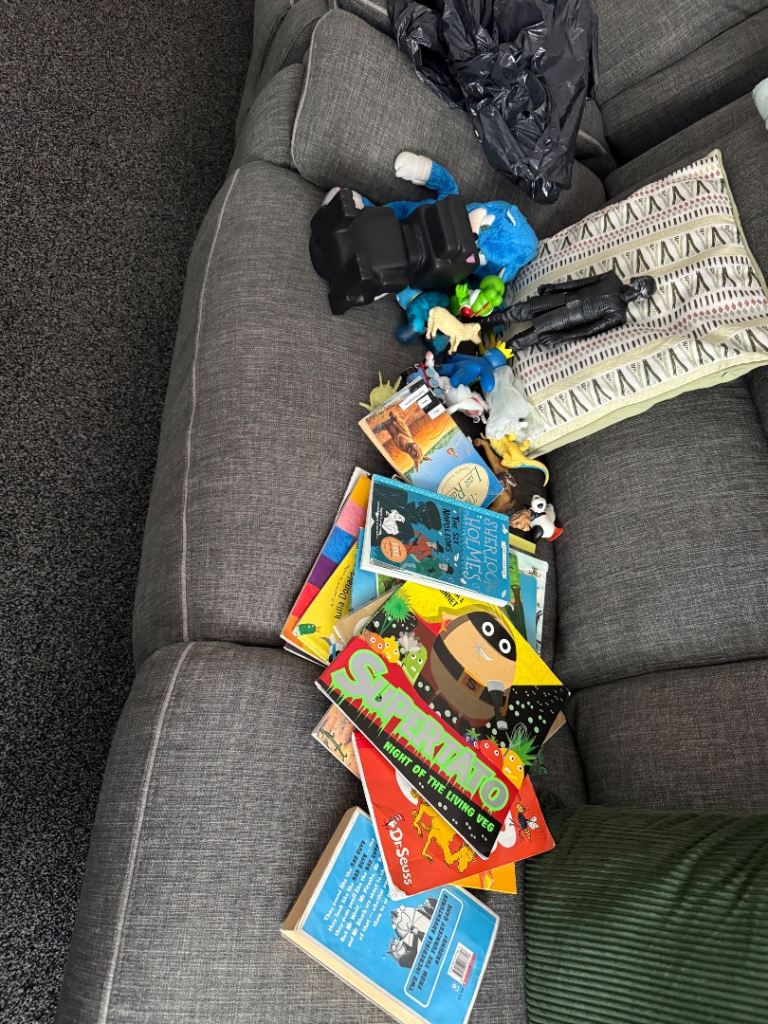 Toys books