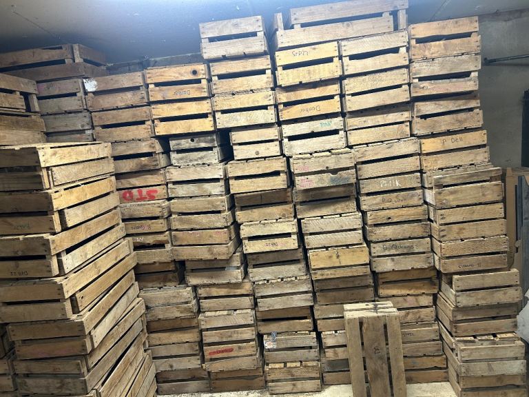 Potato seed boxes £4 each 