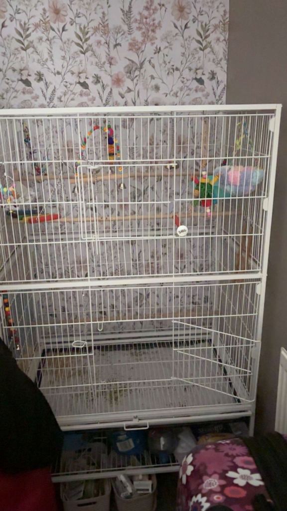 Large White Metal Double Bird Cage with Accessories