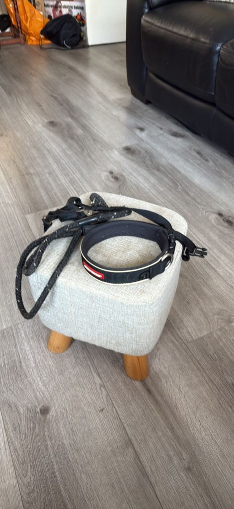 Lead collar snout lead