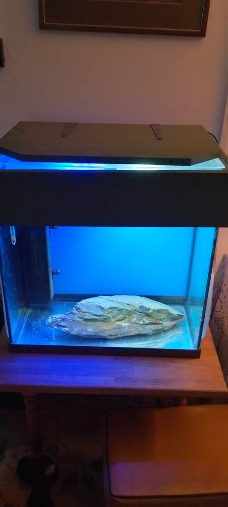 Jewel fish tank, with home made lid, 