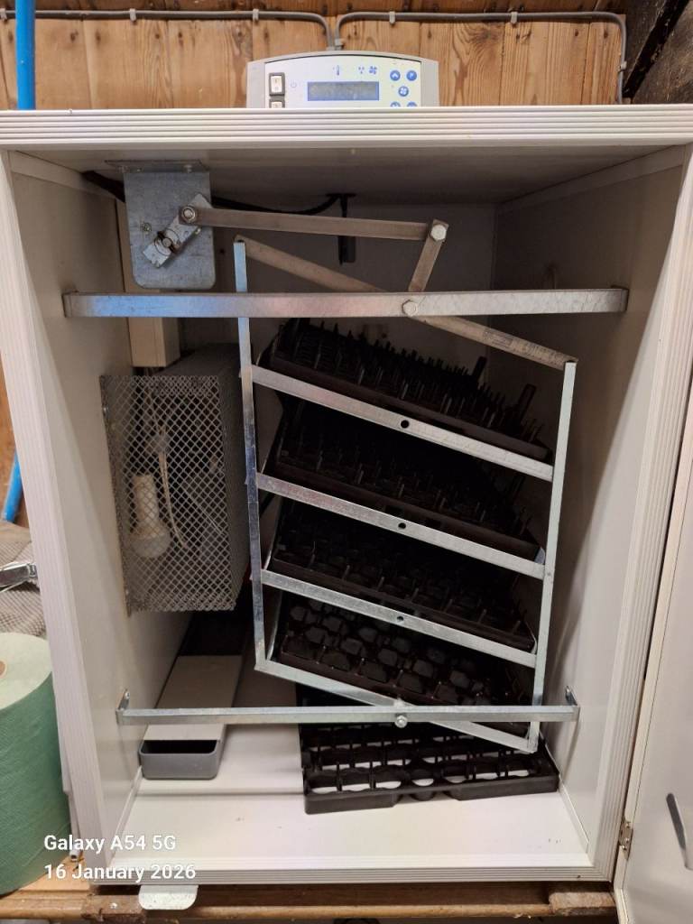 Fiem incubator 